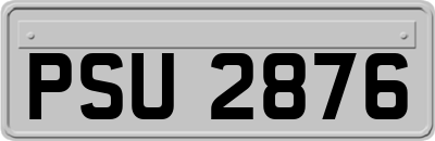 PSU2876