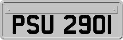 PSU2901