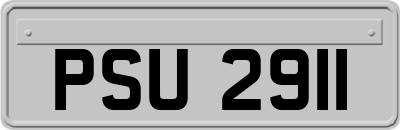 PSU2911