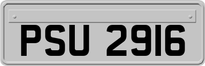 PSU2916