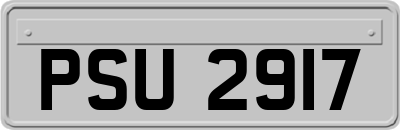 PSU2917