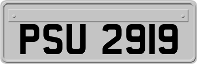 PSU2919