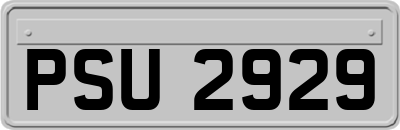 PSU2929