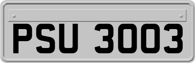PSU3003