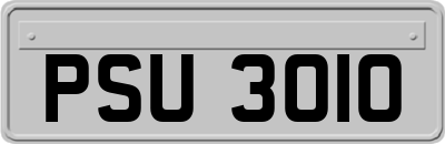 PSU3010