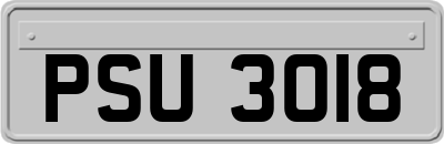 PSU3018