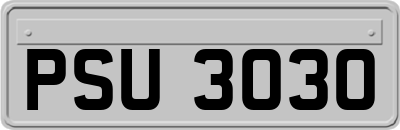 PSU3030