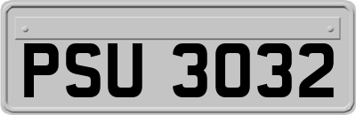 PSU3032