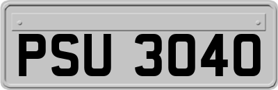 PSU3040