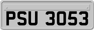 PSU3053