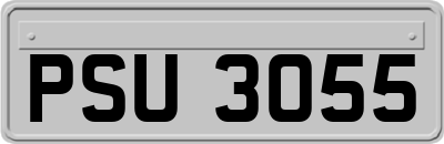 PSU3055