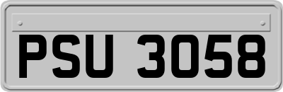 PSU3058
