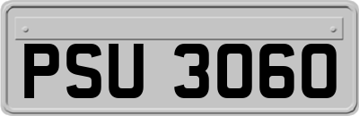 PSU3060