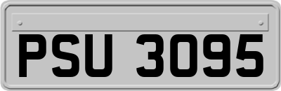 PSU3095