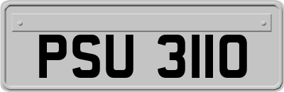 PSU3110