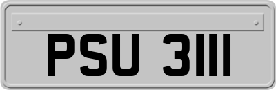 PSU3111