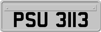 PSU3113