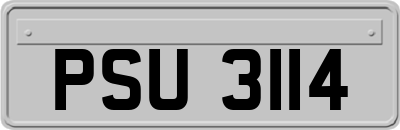 PSU3114