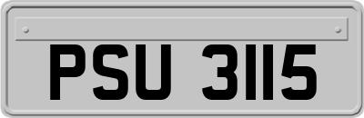 PSU3115