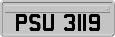 PSU3119