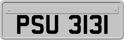 PSU3131