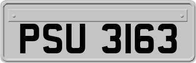 PSU3163