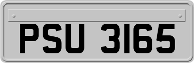 PSU3165