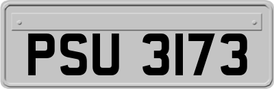 PSU3173