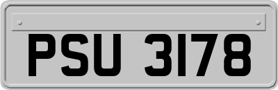 PSU3178