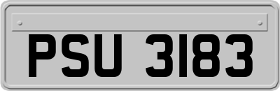 PSU3183