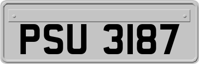 PSU3187