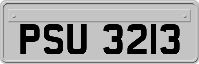 PSU3213