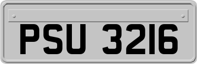 PSU3216