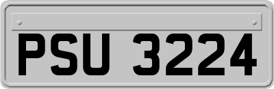 PSU3224