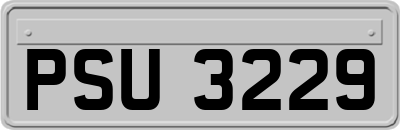 PSU3229