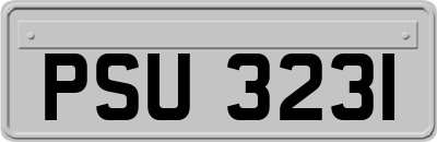 PSU3231