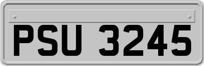 PSU3245