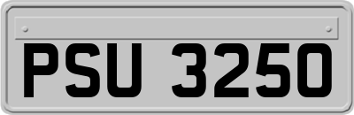 PSU3250