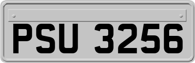 PSU3256