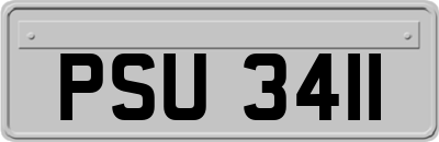 PSU3411