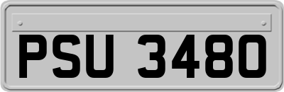 PSU3480