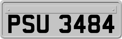 PSU3484