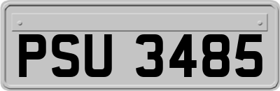 PSU3485