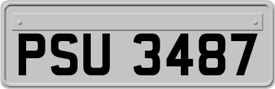 PSU3487