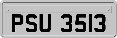 PSU3513