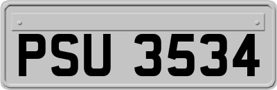 PSU3534