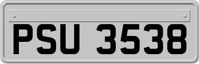 PSU3538