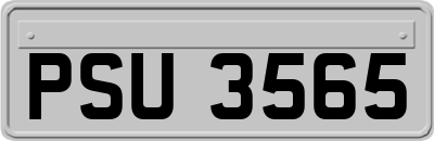PSU3565