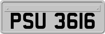 PSU3616