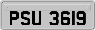 PSU3619